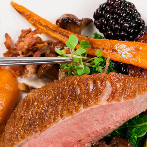 Gourment dish of food close-up